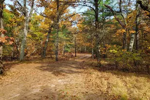 4 84 Ac 160th Ave, Hesperia, MI 49421 - Photo 1
