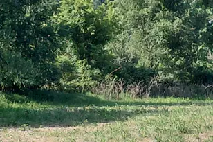 Stony Lake Rd, Jackson, MI 49201 - Photo 1