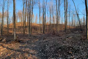 0 Off Of Chief Rd, Bear Lake, MI 49614 - Photo 1