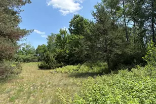 Vl S 210th Ave, Reed City, MI 49677 - Photo 1