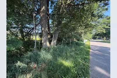 W Royal Road #Lot B, Canadian Lakes, MI 49346 - Photo 1