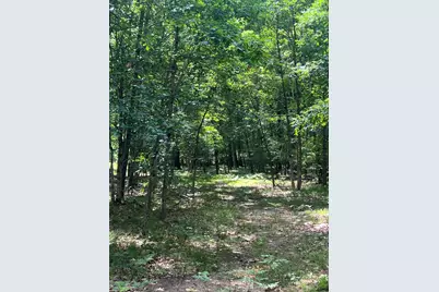 8268 B S Ferris Avenue, Newaygo, MI 49337 - Photo 1