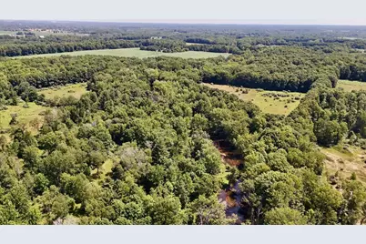 4718 W Church Road, Six Lakes, MI 48886 - Photo 1
