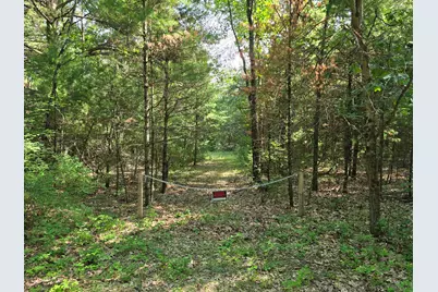 Vl E Michland Path, White Cloud, MI 49349 - Photo 1