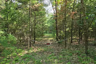 Vl E Michland Path, White Cloud, MI 49349 - Photo 1