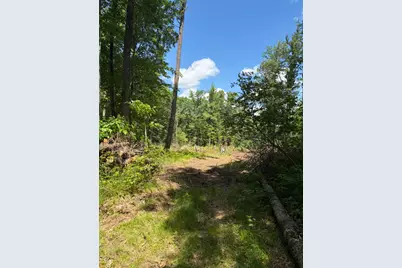 8503 Cottonwood Avenue, Howard City, MI 49329 - Photo 1