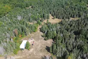 0 SW Henschell Rd, Fife Lake, MI 49633 - Photo 1