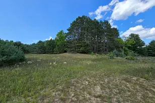 Vl 11 Mile Rd, Bear Lake, MI 49614 - Photo 1