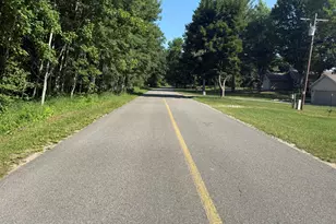 W Royal Rd, Canadian Lakes, MI 49346 - Photo 1