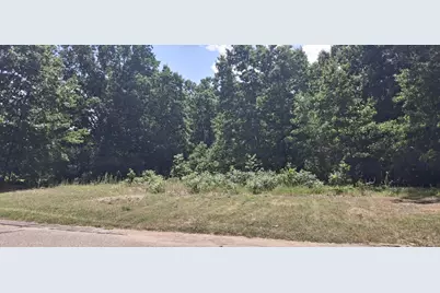 8625 Sunset Drive, Orleans, MI 48865 - Photo 1