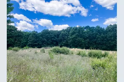 Parcel 9 Leaf Lane, Freeport, MI 49325 - Photo 1