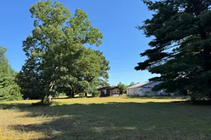 9381 Jones Rd, Howard City, MI 49329 - Photo 1