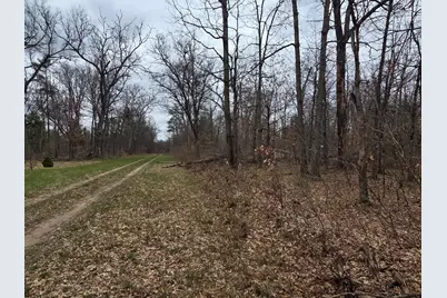 V/L W Mead Street, Baldwin, MI 49304 - Photo 1