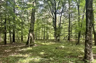 12917 2 Mile Rd, Hersey, MI 49639 - Photo 1