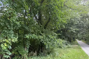 Nubour St, Dowagiac, MI 49047 - Photo 1