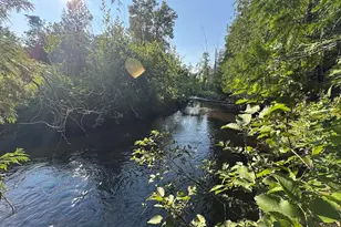 E Procunier Rd, Mikado, MI 48745 - Photo 1