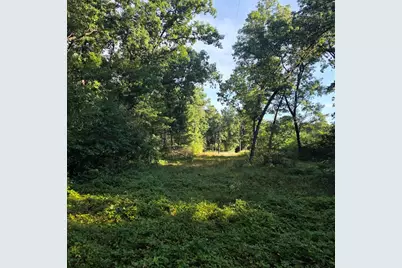 S Outaway Drive, Newaygo, MI 49337 - Photo 1