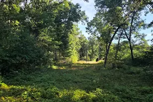 S Outaway Dr, Newaygo, MI 49337 - Photo 1