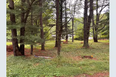 V/L Spruce Street, Sawyer, MI 49125 - Photo 1