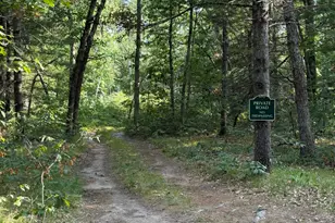 8877 9 Mile Bridge Rd, Manistee, MI 49660 - Photo 1