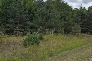 Adamson Lake Rd, Kaleva, MI 49645 - Photo 1