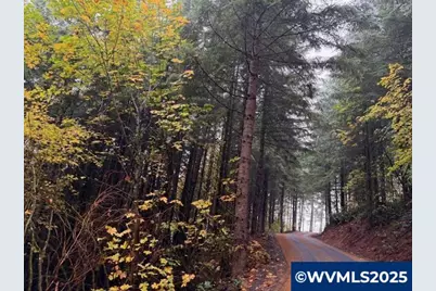 Cater (East) Rd, Warren, OR 97053 - Photo 13