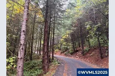 Cater (East) Rd, Warren, OR 97053 - Photo 9