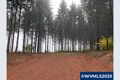 Cater (East) Rd, Warren, OR 97053 - Photo 17