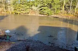 40787 Snow Peak Dr, Lebanon, OR 97355 - Photo 41