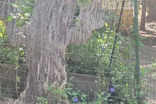 356 White Oak Dr, Cave Junction, OR 97523 - Photo 41