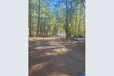 356 White Oak Dr, Cave Junction, OR 97523 - Photo 39