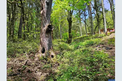 1550 NW Emperor Dr, Corvallis, OR 97330 - Photo 25