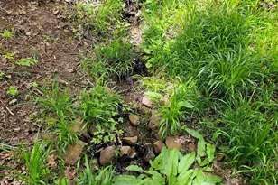 1550 NW Emperor Dr, Corvallis, OR 97330 - Photo 15