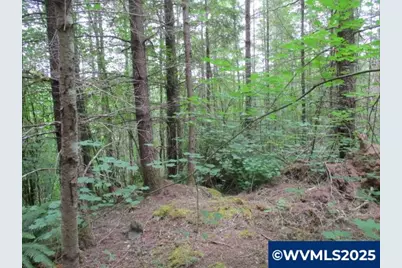 00 Gruber South Rd, Estacada, OR 97023 - Photo 23