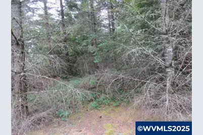 00 Gruber South Rd, Estacada, OR 97023 - Photo 29