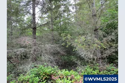 00 Gruber South Rd, Estacada, OR 97023 - Photo 15
