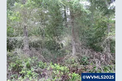00 Gruber South Rd, Estacada, OR 97023 - Photo 11