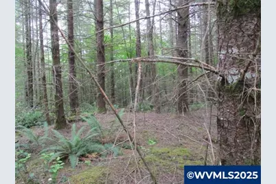 00 Gruber South Rd, Estacada, OR 97023 - Photo 19