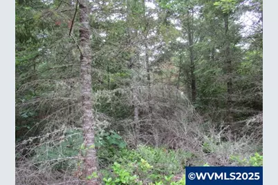 00 Gruber South Rd, Estacada, OR 97023 - Photo 13