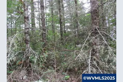 00 Gruber South Rd, Estacada, OR 97023 - Photo 27