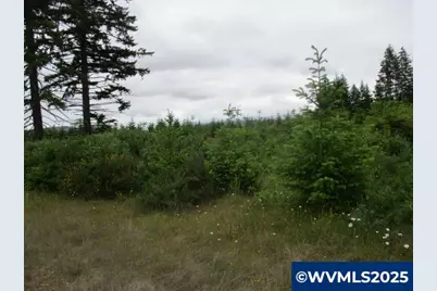 00 Gruber South Rd, Estacada, OR 97023 - Photo 5