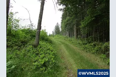 00 Gruber South Rd, Estacada, OR 97023 - Photo 3