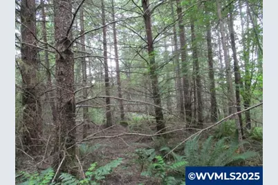 00 Gruber South Rd, Estacada, OR 97023 - Photo 25
