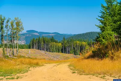 0 Bald Mountain Rd, Beaver, OR 97108 - Photo 29