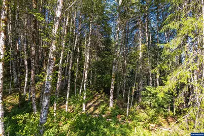 0 Bald Mountain Rd, Beaver, OR 97108 - Photo 9