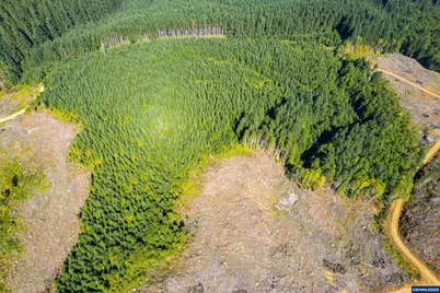 0 Bald Mountain Rd, Beaver, OR 97108 - Photo 21