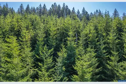 0 Bald Mountain Rd, Beaver, OR 97108 - Photo 15