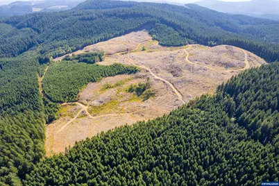 0 Bald Mountain Rd, Beaver, OR 97108 - Photo 13