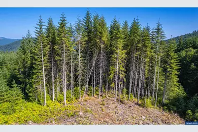 0 Bald Mountain Rd, Beaver, OR 97108 - Photo 17
