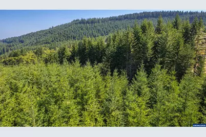 0 Bald Mountain Rd, Beaver, OR 97108 - Photo 19
